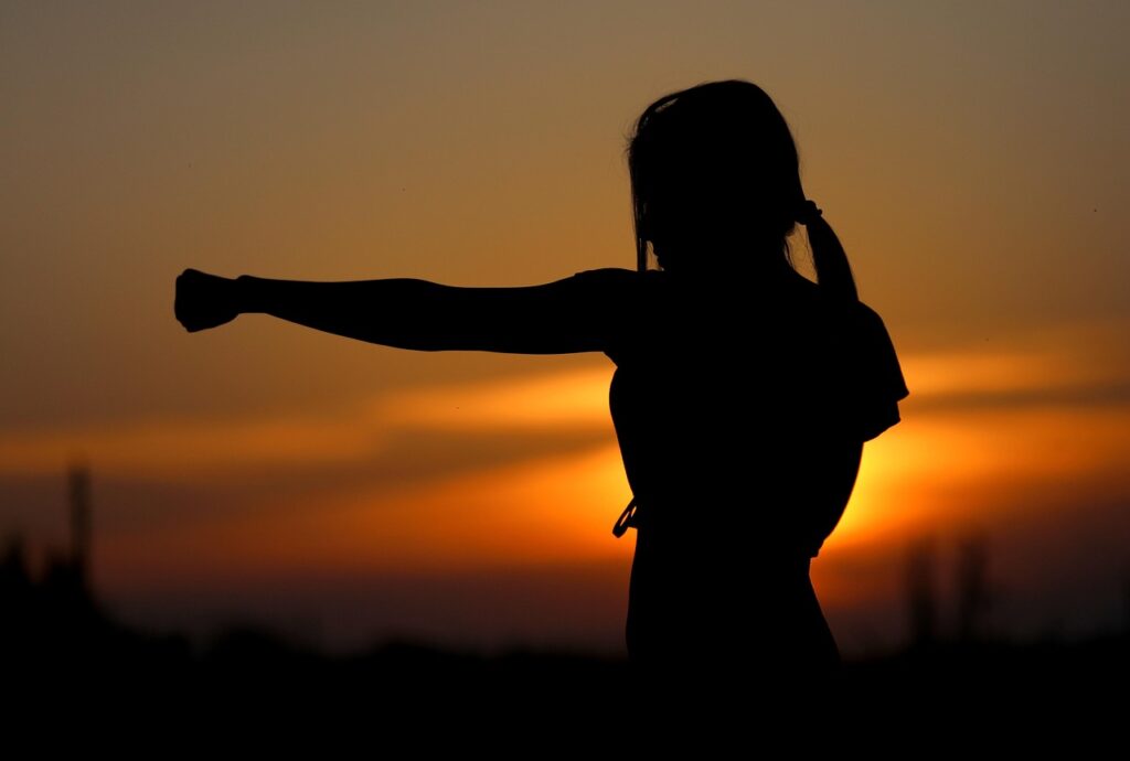 karate, sunset, fight, sports, silhouette, resistance, samurai, fit, girl, self-defense, nature, defense, fist, brown sunset, brown sports