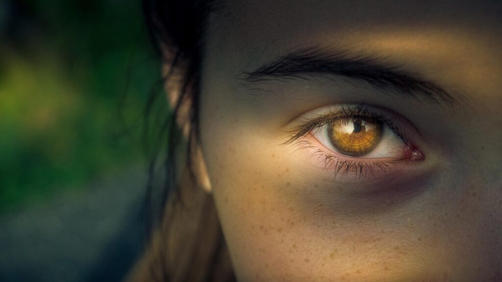 eye, iris, pupil, view, focus, woman, close up, portrait, girl, person, the shade, freckles, lighting, eye, eye, eye, eye, eye, focus, focus