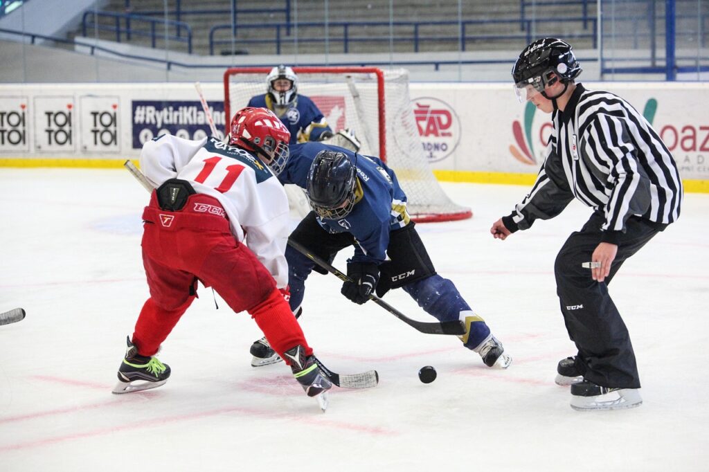 hockey, slavia, skater, hockey player, winter, winter sports, winter sport, joy, hockey stick, captain, puck, ice, skating, sport, bulls, hockey, hockey, hockey, hockey, hockey