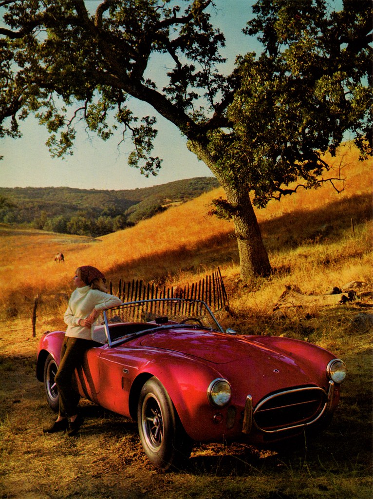 1966 Shelby Cobra 427