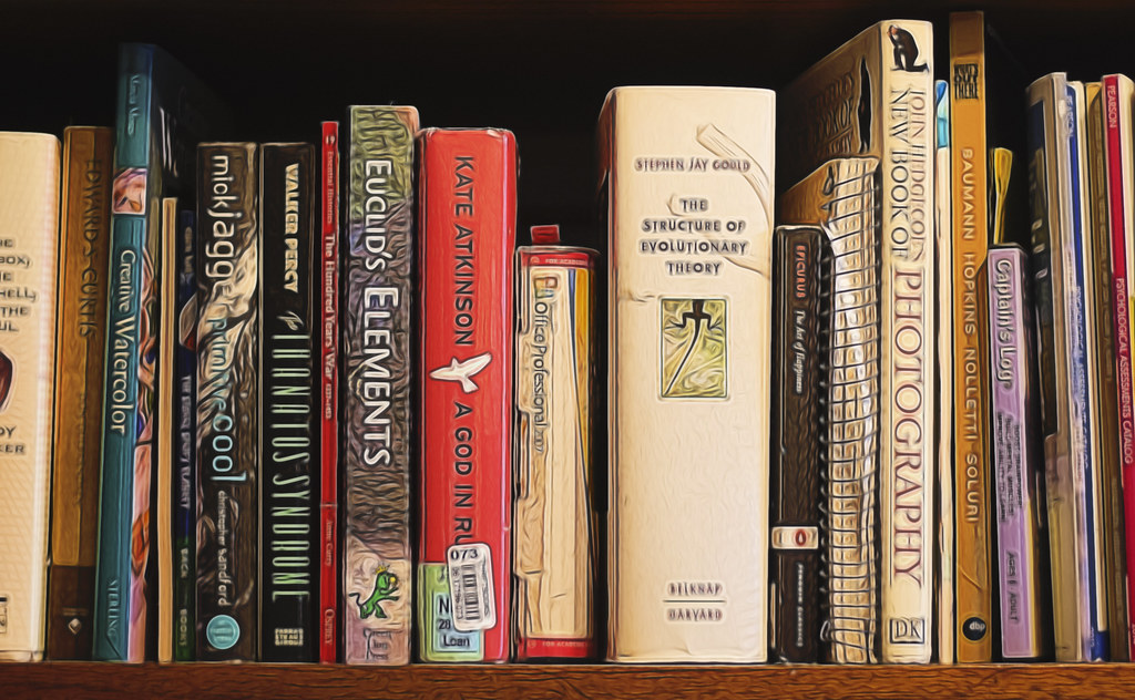 14 Powerful Books to Reshape Your Mindset: Strategies for Success, Resilience, and Unlocking Your Full Potential