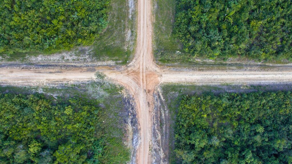 road, trees, crossroads, aerial view, rural, farm, symmetry, landscape, nature, green landscape, aerial photography, crossroads, crossroads, crossroads, crossroads, crossroads, aerial photography