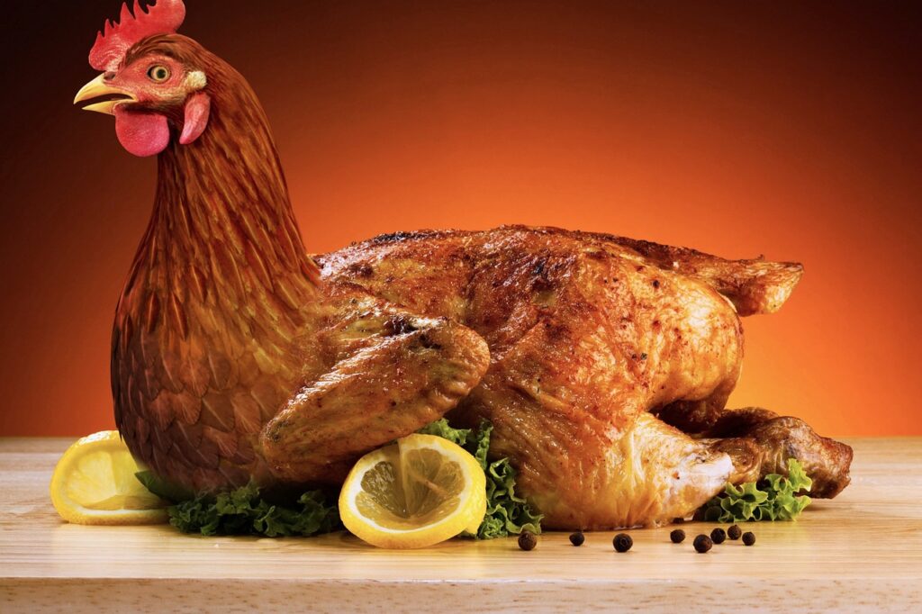 poultry, food, new, nature, chicken, birds, chicken dish, chicken breast, chimaek, cooking, seasoned chicken, fried chicken, chicken meat, chicken, chicken, chicken breast, fried chicken, fried chicken, fried chicken, fried chicken, fried chicken, chicken meat, chicken meat, chicken meat