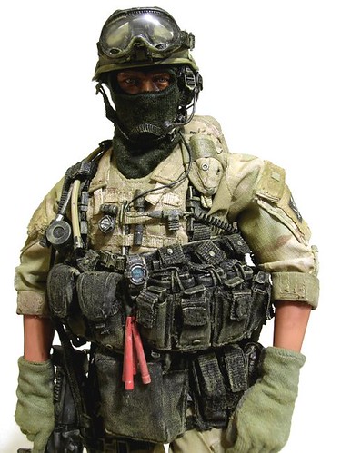 Unveiling the Shadow Warriors: Inside the Secret World of Navy SEALs and Their Unmatched Legacy
