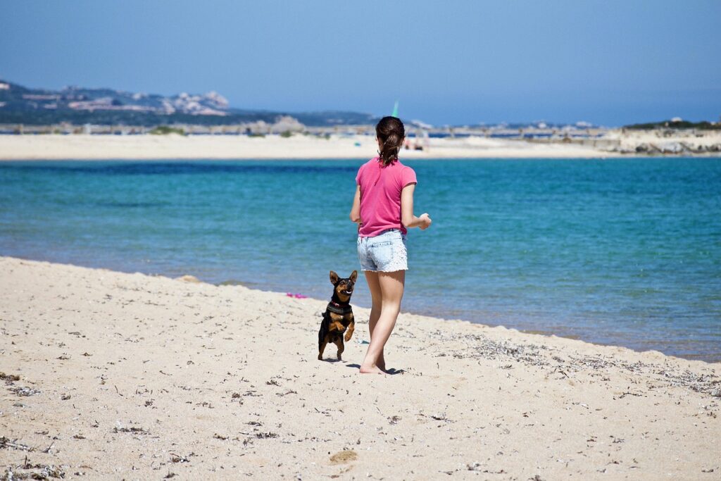 girl, dog, sand, pet, beach, sea, it costs, waters, summer, fun, sun, nature, gioo, outdoors, sardinia, porto pollo, blue, race, animal, leisure, adolescence