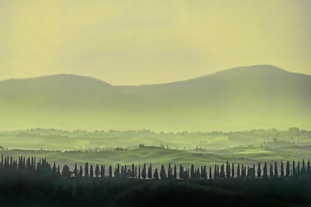 tuscany, landscape, forest, panorama, nature, sunset, eve, dusk, fog, haze, veil, mood, romantic, trees, green, vegetation, hill, hilly, forests, woody, tuscany, tuscany, tuscany, tuscany, forest, forest, romantic, romantic, green, green, green, green, green, hill, hill