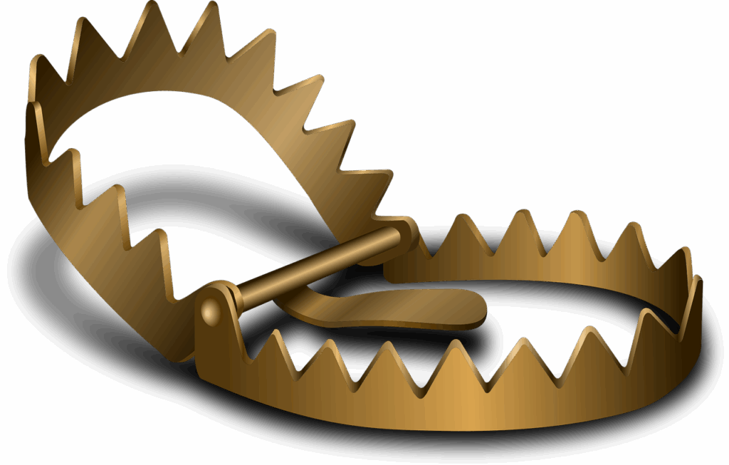 trap, capture, grizzly, nature, bear, leg, hurt, catch, animal