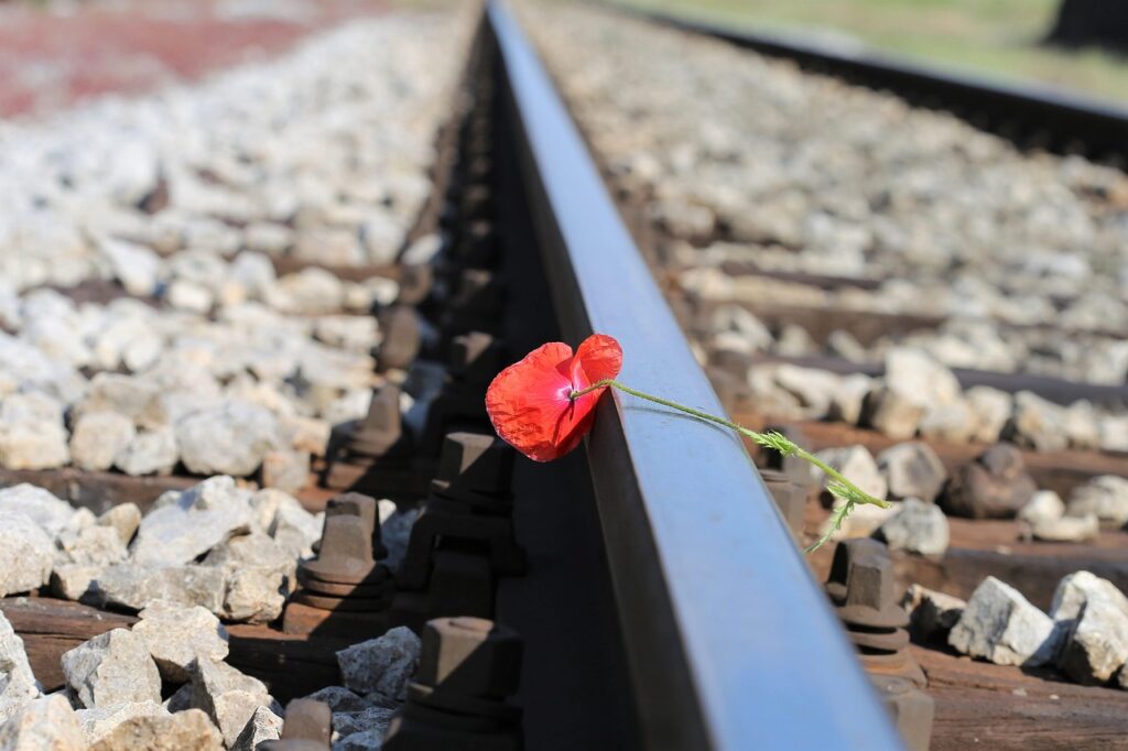 red poppy on railway, lost love, nature, touching, romantic, loving memory, tragedy, tragic, deep emotions, sorrow, sadness, remembering, missing, spring, natural, wild, rail, track, moment of silence, outdoor