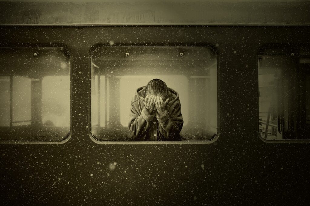 woman, train, train compartment, farewell, grief, despair, emotions, lonely, lonliness, abandoned, platform, station, feelings, old woman, poverty, train window, person, sepia, freeze, frost, fog, darkness, train, train, train, train, train, grief, grief, grief, lonely, lonely, lonliness, feelings, poverty, poverty