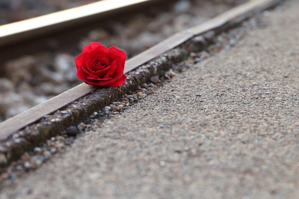 red rose near rail, remembering all victims, of suicide on rail, condolence, humble, loving memory, you are not forgotten, outdoor, humble, humble, humble, humble, humble