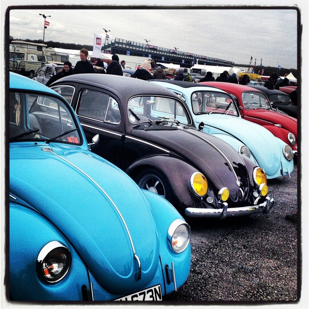 vw beetle, vw, old, volkswagen, oldtier, vehicle, vintage, transport, retro, classic, car, car wallpapers, used