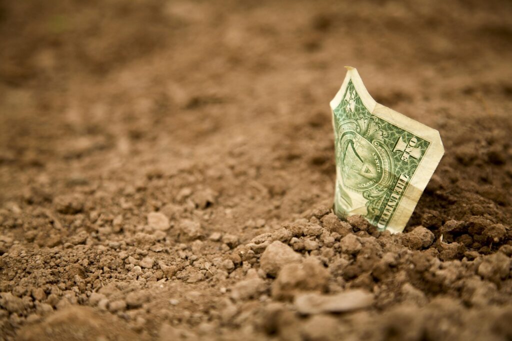 us-dollar, dollar, dollar bill, banknote, earth, basic, floor, field, buried, drought, grow, sapling, banking, basic, basic, basic, basic, buried, buried, buried, buried, buried
