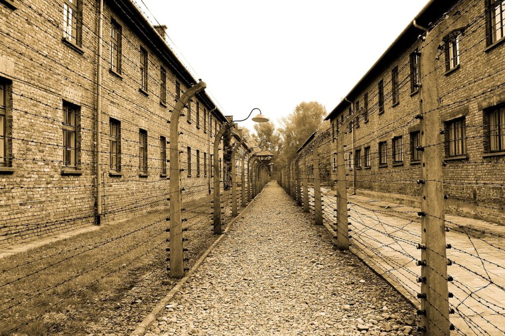 auschwitz, extermination camp, alley, concentration camp, labor camp, the museum, monument, barbed wire, fence, barracks, gravel