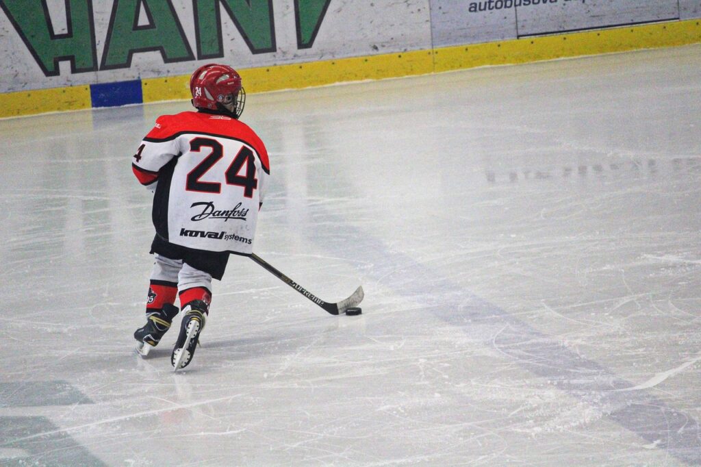 hockey, pupils, children, hockey player, match, sport, boy, ice, stadium, hockey stick, puck, skater, team, athlete, activity, sports, a child, skates, winter, ice hockey, younger pupils, slovakia, hockey, hockey, hockey, hockey, hockey, hockey player, hockey player, ice hockey, ice hockey, ice hockey