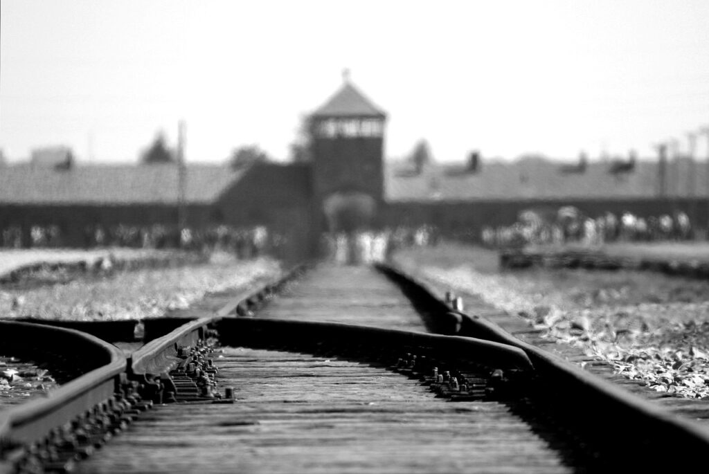 birkenau, auschwitz, concentration, camp, holocaust, rail track, points, poland, auschwitz, auschwitz, holocaust, holocaust, holocaust, holocaust, holocaust
