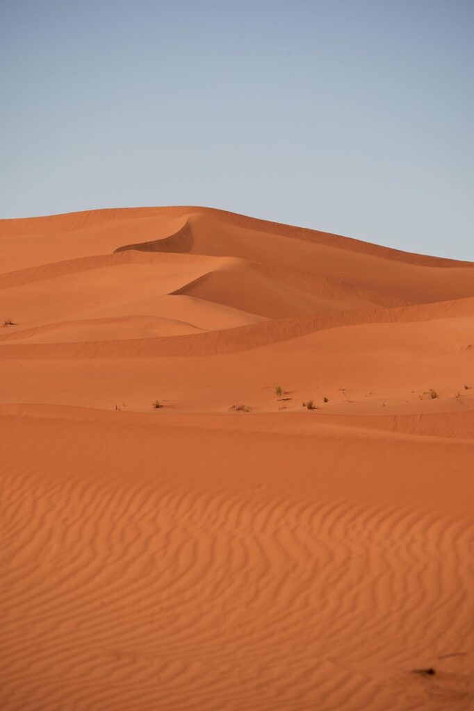 desert, sahara, sand, landscape, dry, hot, nature, dune, morocco, africa, camel, sand dune, barren, drought, desert, desert, desert, desert, desert, morocco, camel