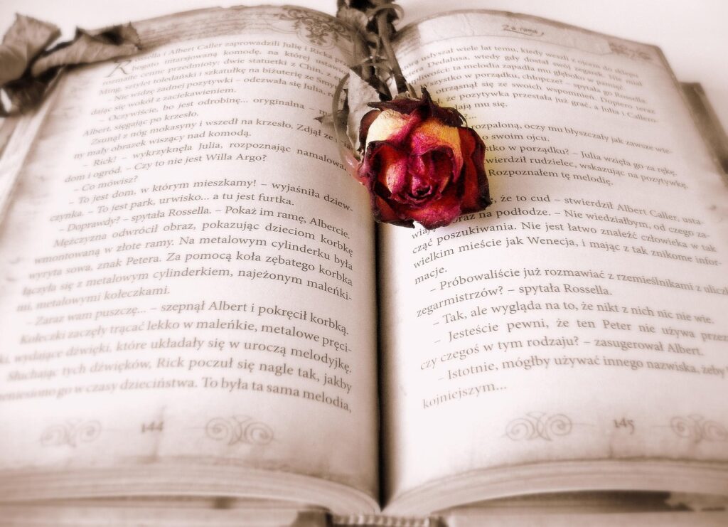 book, rose, book mark, open book, pages, chapter, novel, read, literature, reading, rose flower, bookworm