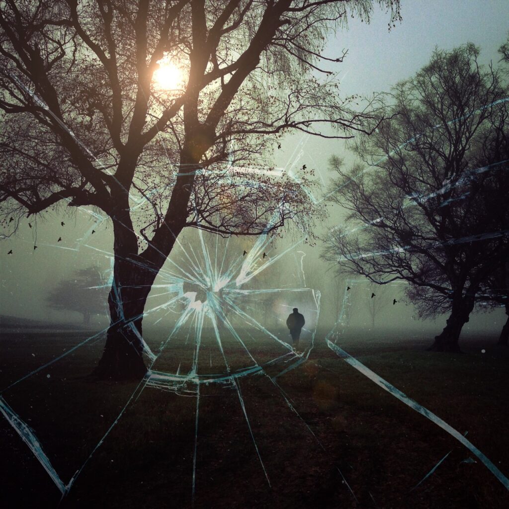 disc, shot, assassination attempt, attack, landscape, trees, sun, heaven, man, person, the shade, nature, path, meadow, fog, birds, quiet, fall, mood, mystical, tomorrow, lonely, ominous, attempted killing, murderer, murder, criminal case, police, detection, suspect