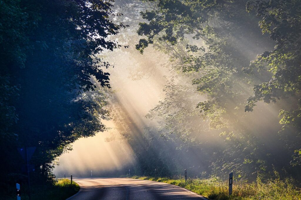 fog, sunbeams, road, trees, mood, landscape, mystical, fall, nature, early, light, haze