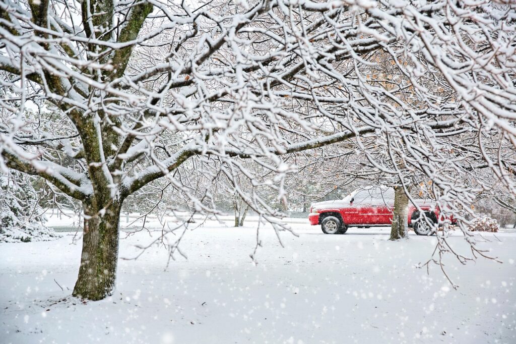 truck, snow, winter, nature, landscape, trees, red truck, christmas, wintry, cold, truck, winter, christmas, christmas, christmas, christmas, christmas
