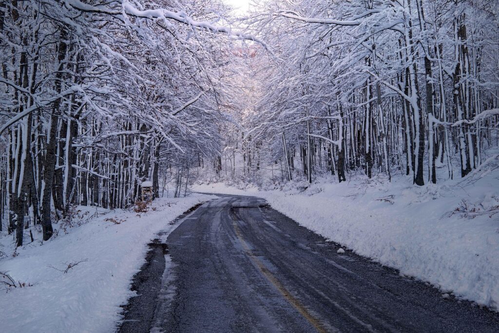 trees, forest, winter, snow, season, path, travel, scenic, outdoors, haze, landscape, nature, winter, winter, winter, winter, winter, snow, snow