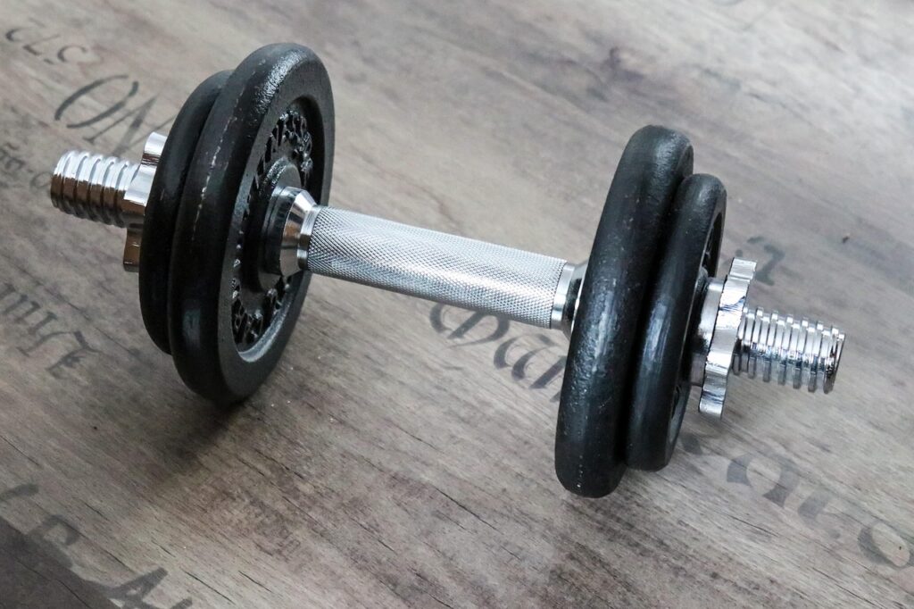 dumbbell, weight, fitness, weight training, muscles, gym, dumbbell, dumbbell, dumbbell, dumbbell, weight training, weight training, gym, gym, gym, gym, gym