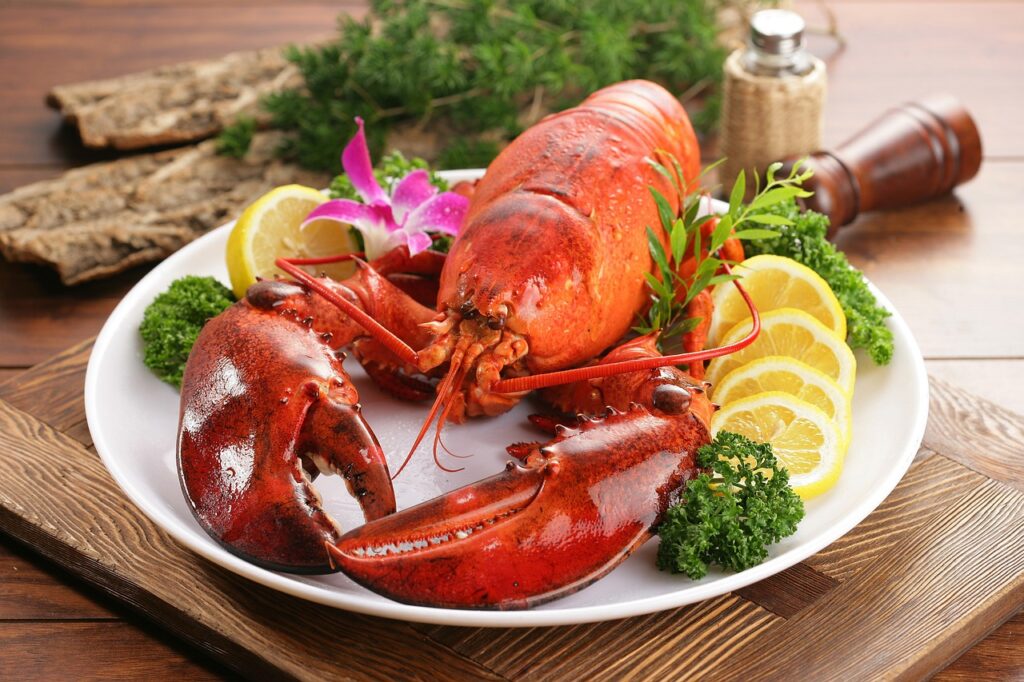 lobster, nature, seafood, ocean