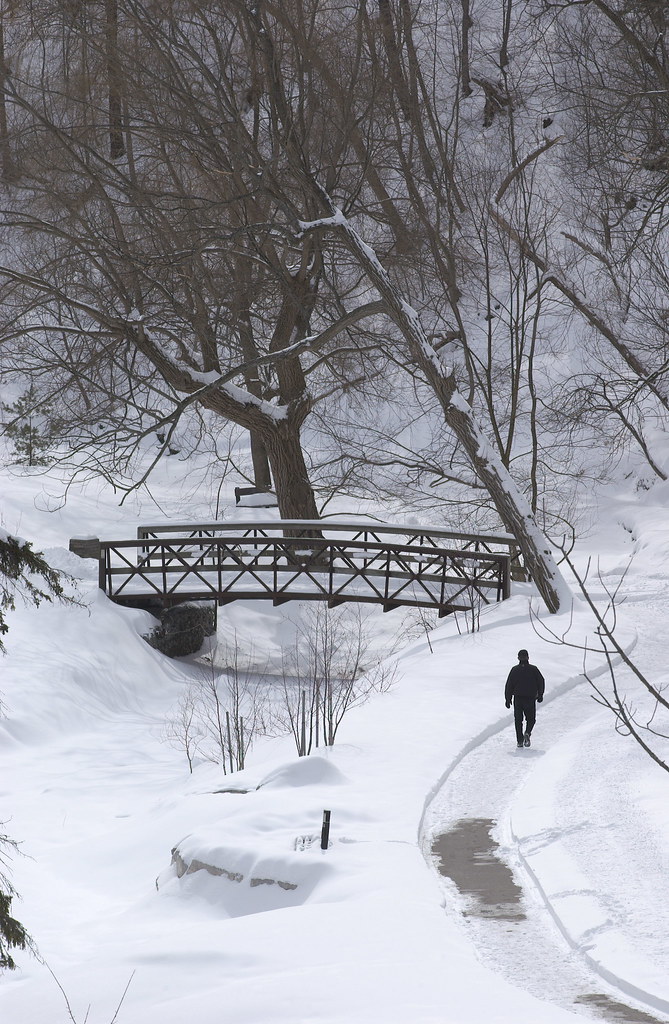 Decoding Deficiency: Essential Vitamin Warning Signs and Why Winter Matters for Your Health