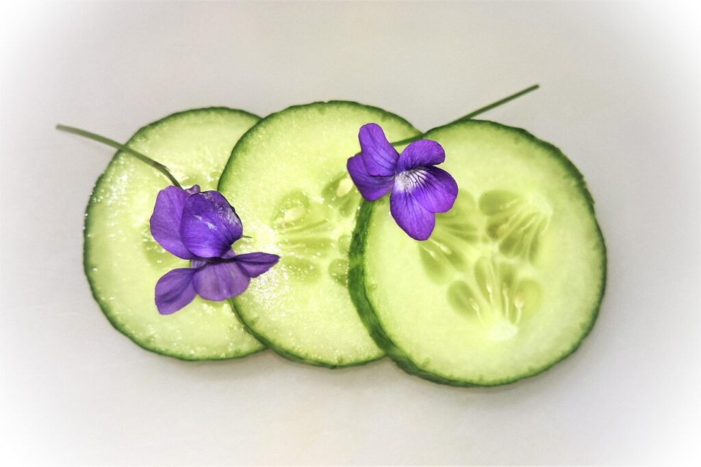 cucumber, vegetables, cucumber slices, meal, salad, nourishment, fresh, healthy, vegan, green, refreshing, tasty, cucumber, cucumber, cucumber, cucumber, cucumber, vegan