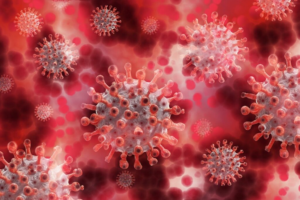 coronavirus, virus, plasma, blood plasma, covid-19, infection, pathogens