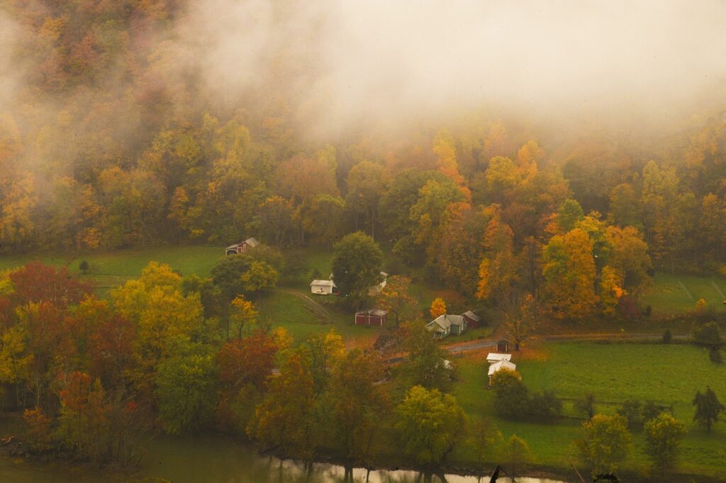 foliage, fall, west virginia, scenic country road, west virginia, west virginia, west virginia, west virginia, west virginia