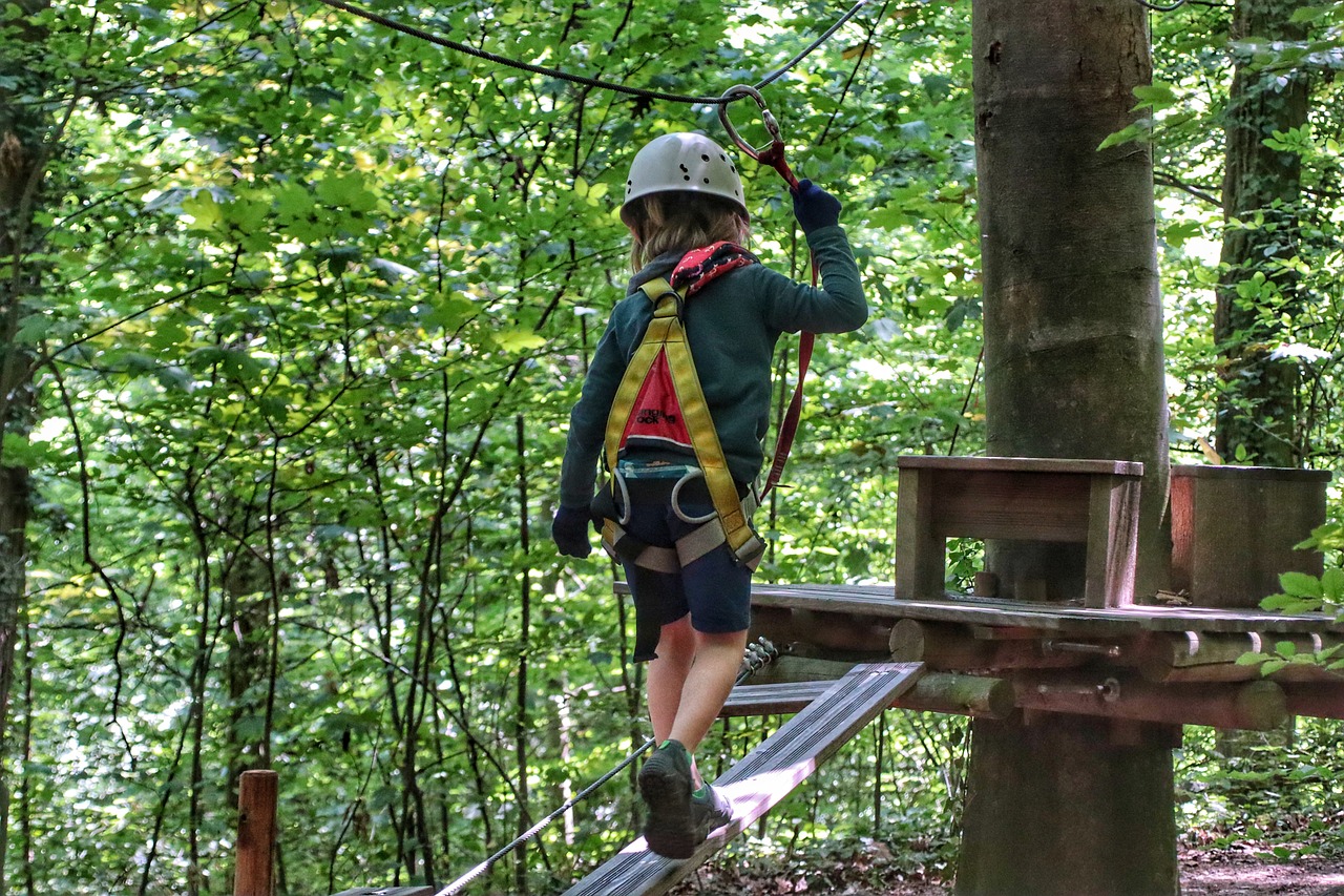 climb, sports, children, zipline, balance, climbing harness, helmet, forest, zipline, zipline, zipline, zipline, zipline