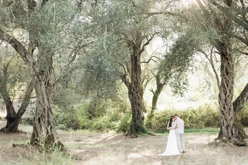 couple, marriage, love, trees, forest, nature, togetherness, olive tree, romantic, honeymoon, joyful, tuscany, greece, majorca, couple, love, love, forest, olive tree, olive tree, olive tree, olive tree, olive tree, romantic, honeymoon, honeymoon, honeymoon, honeymoon, tuscany, greece, greece