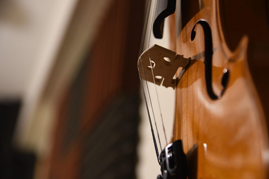 violin, viola, cello, music, fiddle, musical instrument, string instrument, bowed string instrument, orchestra, instrument, classic, musical, strings, symphony, classical music, violin, violin, violin, violin, violin, cello, cello, music, orchestra, orchestra, orchestra, symphony