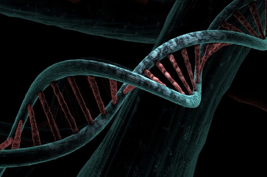 dna, biological, helix, analysis, study, genetic, deoxyribonucleic acid, dna, dna, dna, dna, dna