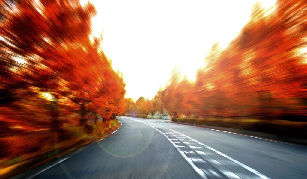 speeding, the scenery, autumn