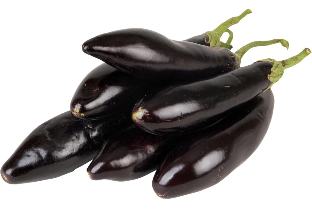 fruit, eggplant, organic, aubergine, isolated, food, healthy, eggplant, eggplant, eggplant, eggplant, eggplant