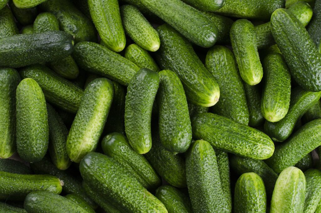 vegetables, cucumber, organic, raw, food, green, cucumber, cucumber, cucumber, cucumber, cucumber