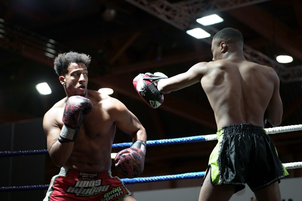 boxing, boxers, boxing ring, sports, contact sport, fighting match, boxing, boxing, boxing, boxing, boxing, boxing ring