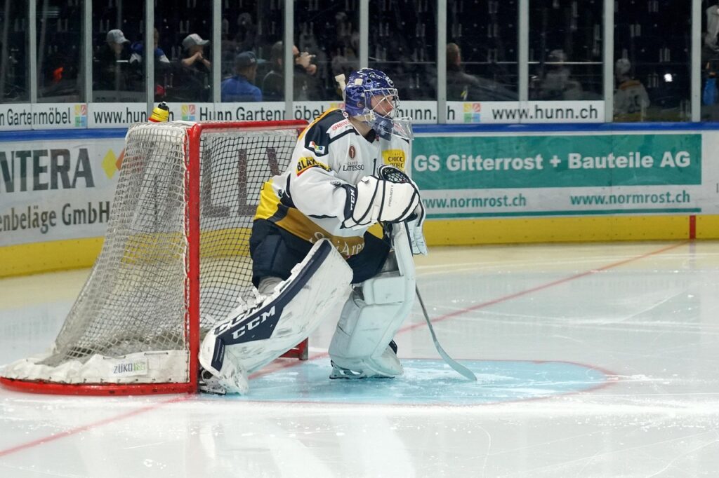 ice hockey, players, team, hockey, stadium, ice sports, goalkeeper, defense, ice hockey, ice hockey, ice hockey, ice hockey, ice hockey, hockey, hockey, hockey