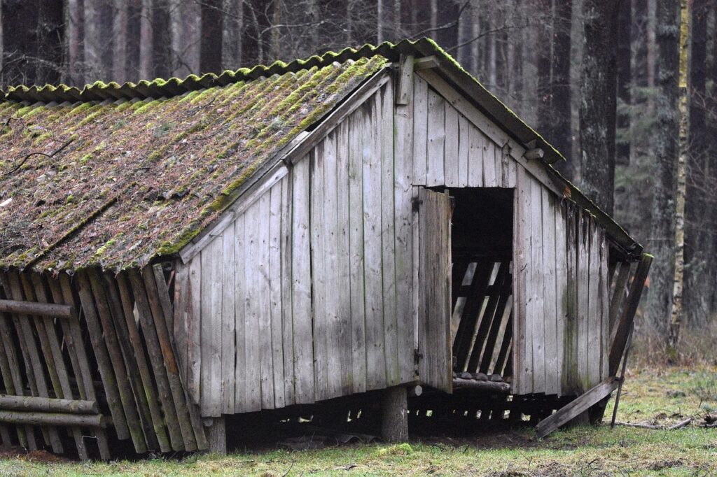 cottage, shed, animals, nature, forest