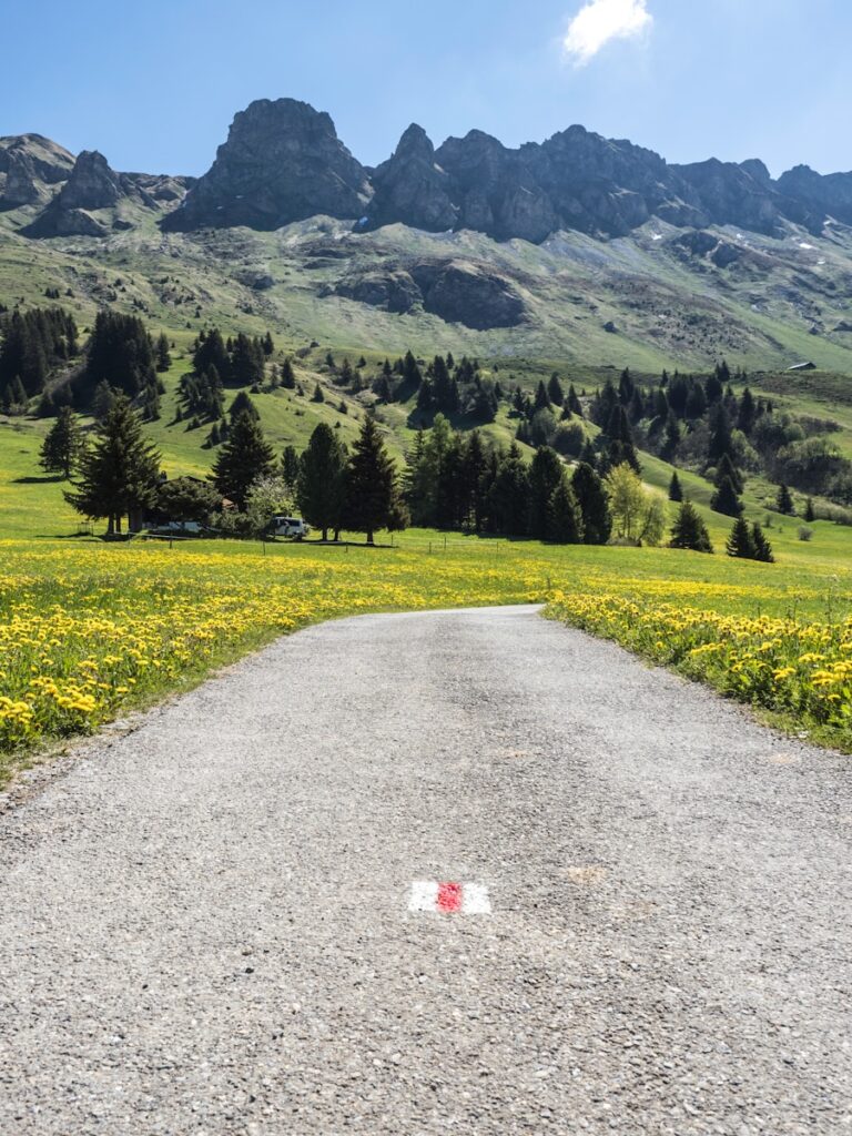 green grass field near mountain during daytime