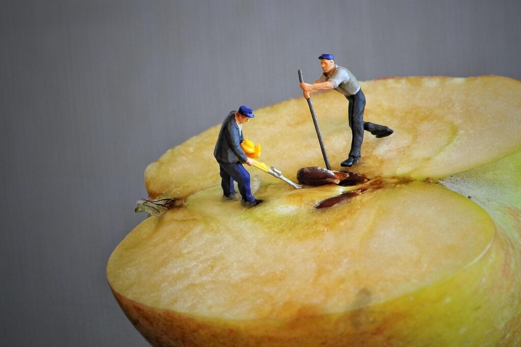 tiny people, core the apple, apple half, little world, apple, tiny people, tiny people, tiny people, tiny people, tiny people