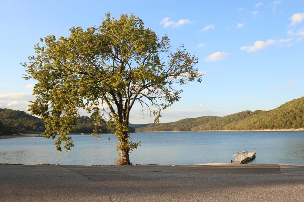 lake, tree, dock, nature, park, jetty, water, road, arkansas, arkansas, arkansas, arkansas, arkansas, arkansas