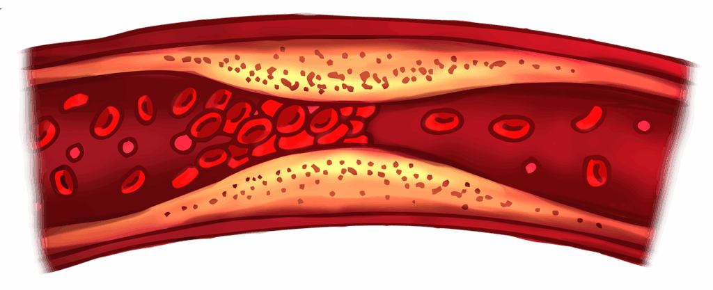 blood clot, vascular, biology, capillary, body, cell, clot, science, blood cell, red blood cell, cutout