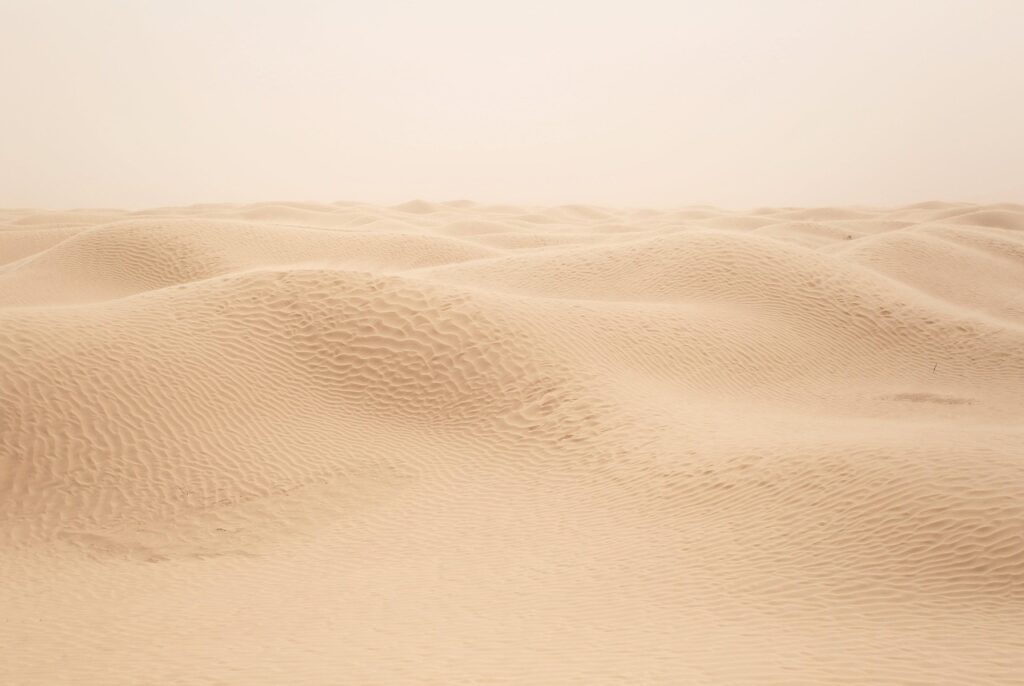 sand, desert, sahara, dune, nature, africa, tunisia, sand, sand, desert, desert, desert, desert, desert, tunisia