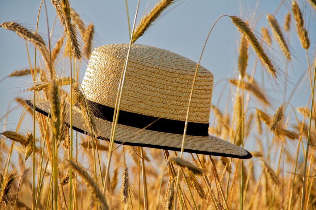 cap, straw hat, summer, grain, spike, summer hat, summer feeling, nature, cap, summer, summer, summer, summer, summer