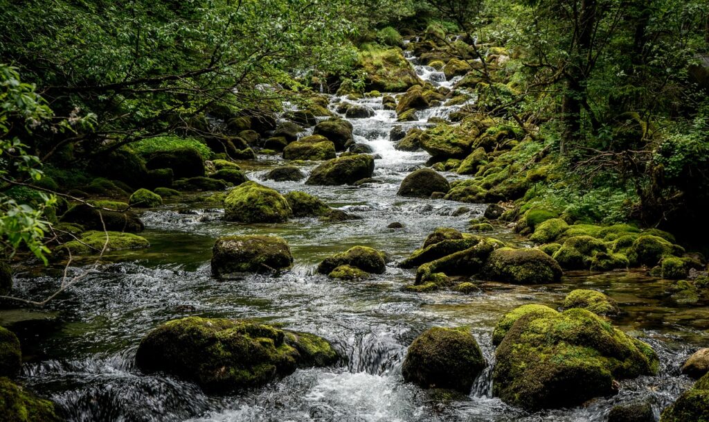 flow, nature, wild water, bach, piesling, piessling origin, river course, rock, idyll, watercourse, forest, landscape, origin, originally, austria, upper austria