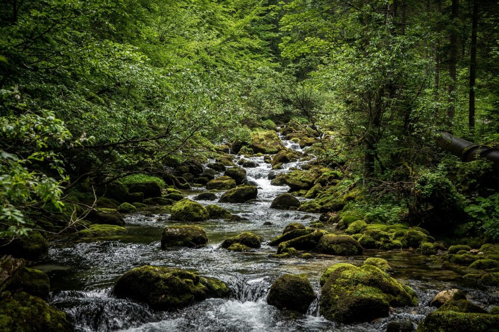 flow, nature, wild water, bach, piesling, piessling origin, river course, rock, idyll, watercourse, forest, landscape, origin, originally, austria, upper austria