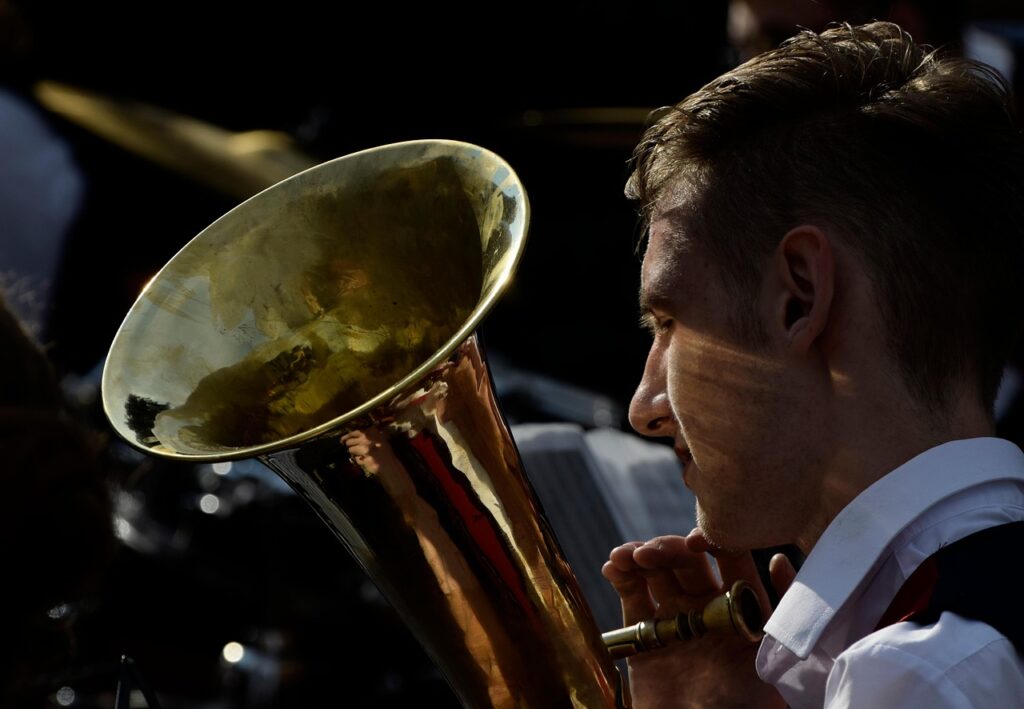 music, musician, instrument, orchestra